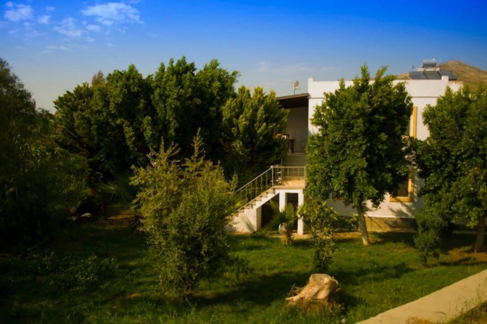 Alfa Apartments Bodrum Zewnętrze zdjęcie