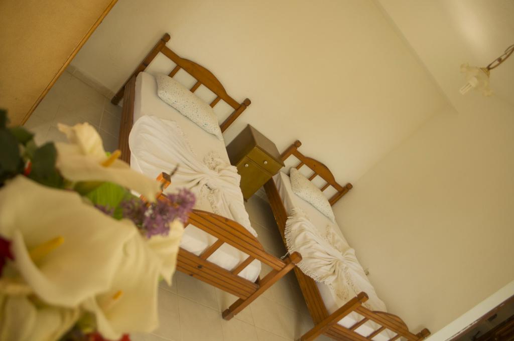 Alfa Apartments Bodrum Zewnętrze zdjęcie