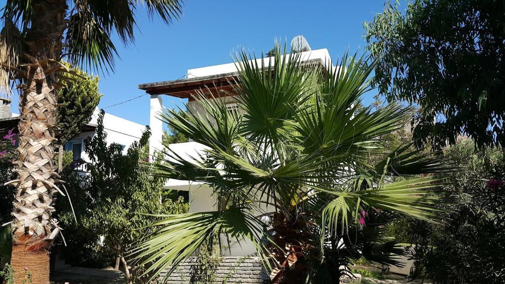 Alfa Apartments Bodrum Zewnętrze zdjęcie