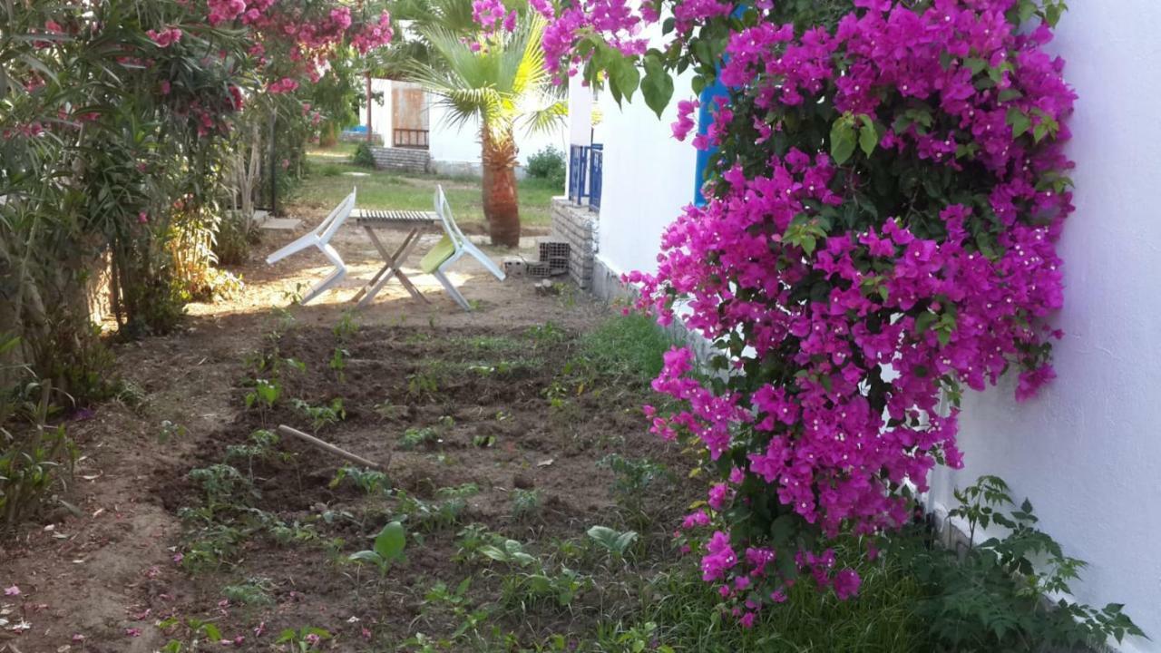 Alfa Apartments Bodrum Zewnętrze zdjęcie